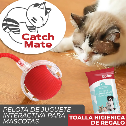 CatchMate™ - Pelota Interactiva Para Gatos